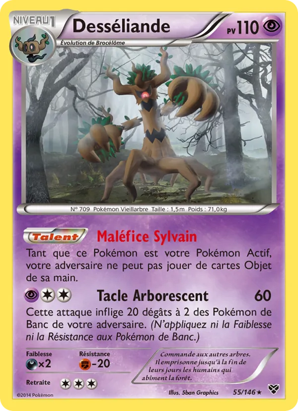 Desséliande 55 — XY