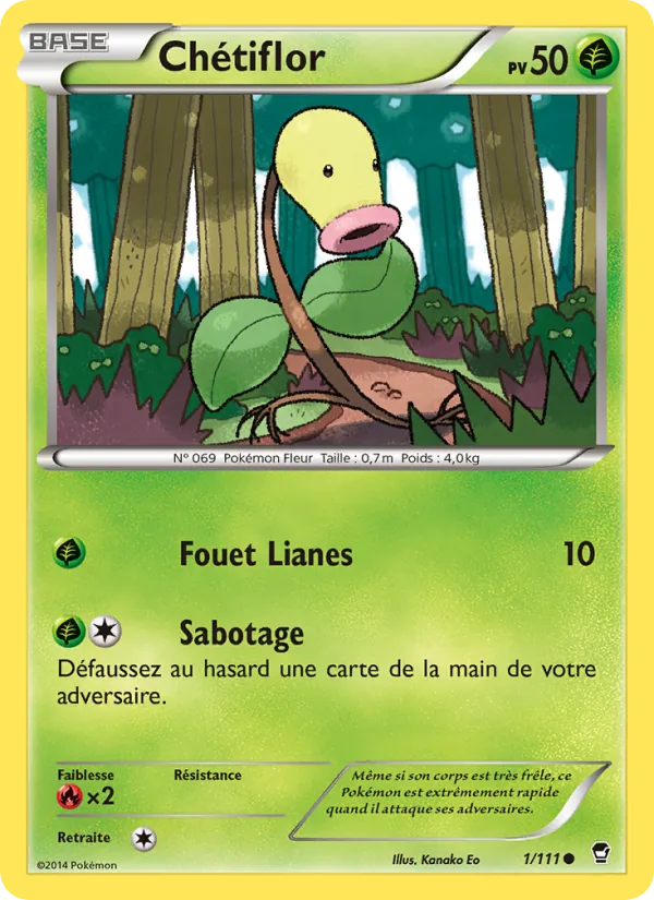Chétiflor 1 — Poings Furieux