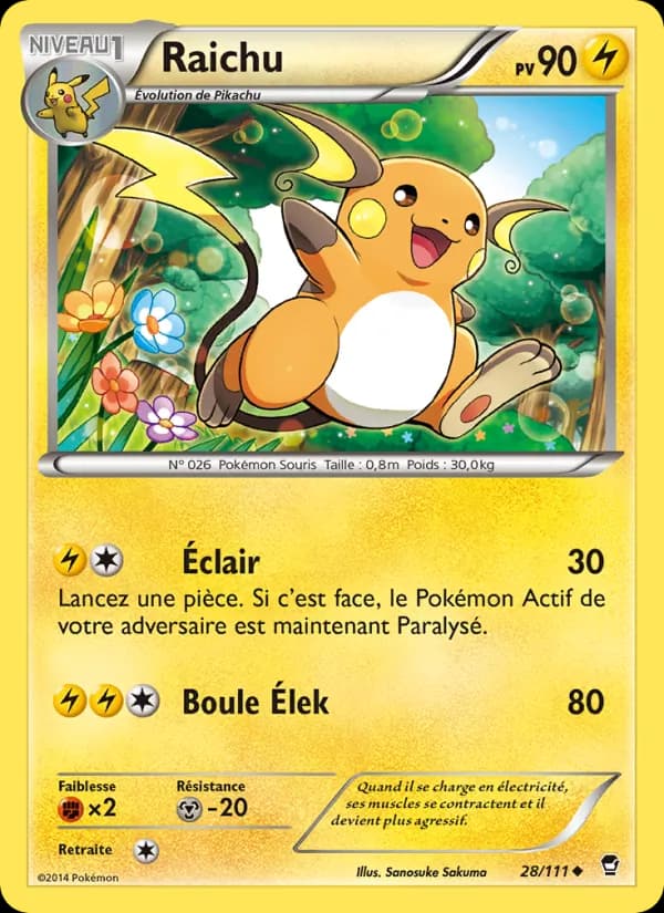Raichu 28 — Poings Furieux