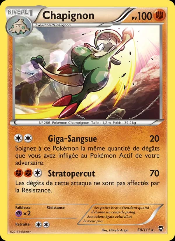 Chapignon 50 — Poings Furieux
