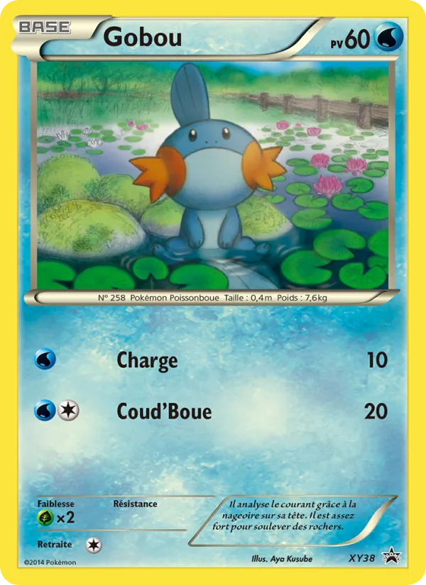 Gobou XY38 — Promo XY