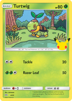 Tortipouss 4