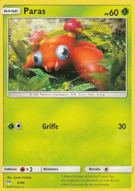 Paras 3