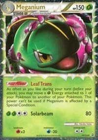 Meganium HGSS08